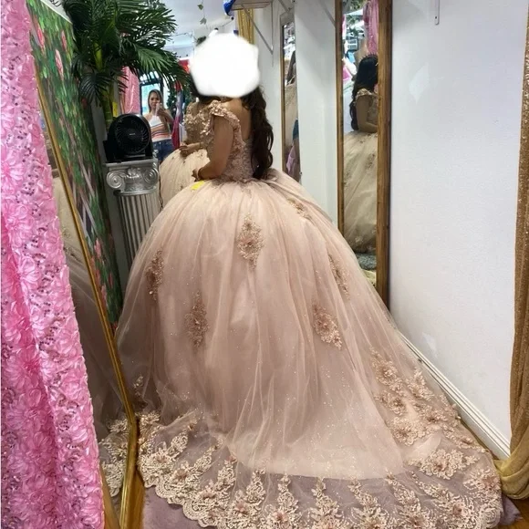 Elegant Pink Embellished Gowns - Picture 5 of 5